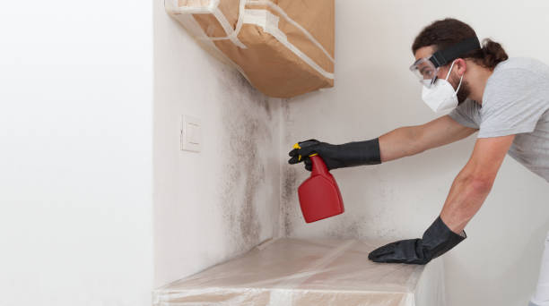 Professional Bathroom Mold Removal technician working in Haw River, NC