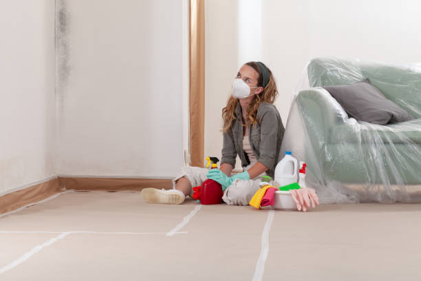 Reliable Bathroom Mold Removal contractor in Haw River, NC by Mold Remediation HQ